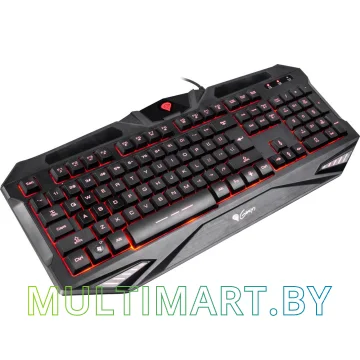 Клавиатура игровая Genesis RX39 (NKG-0849) картинка 3
